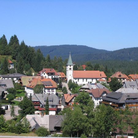 Mellex Fewo Feldberg  Buitenkant foto