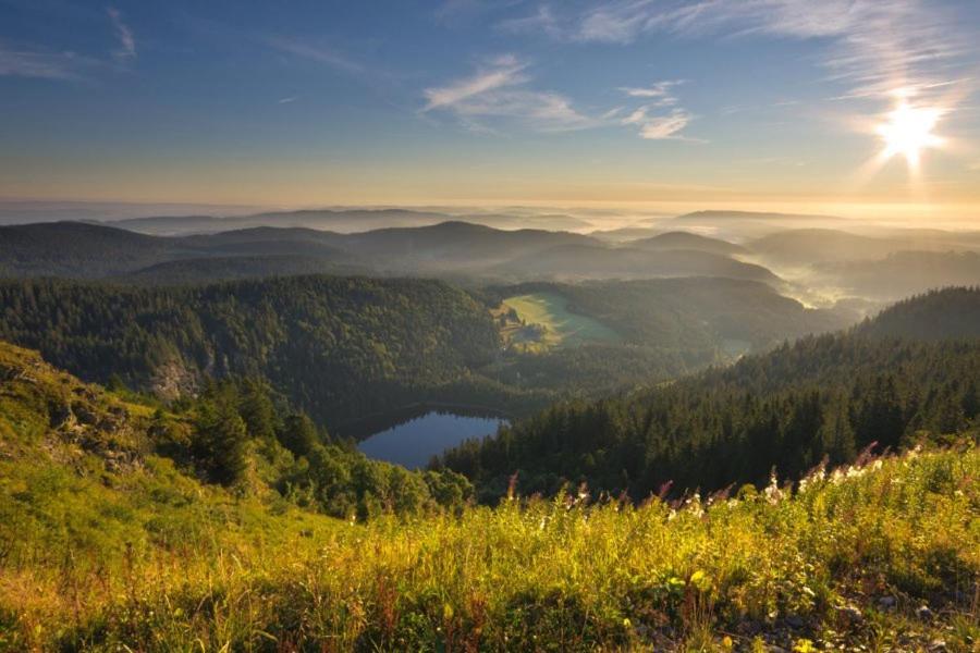 Mellex Fewo Feldberg  Buitenkant foto