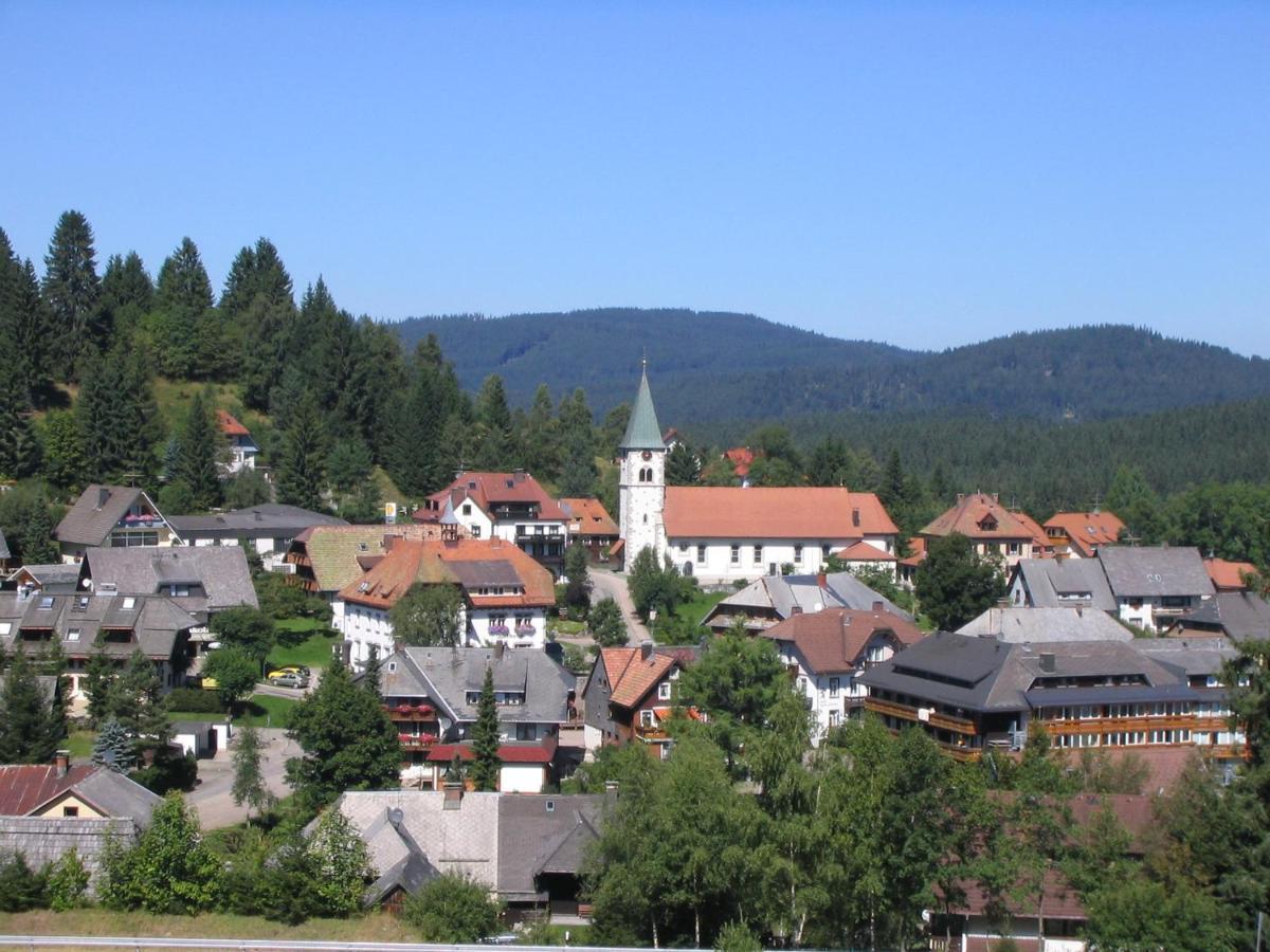 Mellex Fewo Feldberg  Buitenkant foto